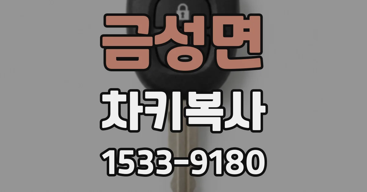 금성면 차키복사