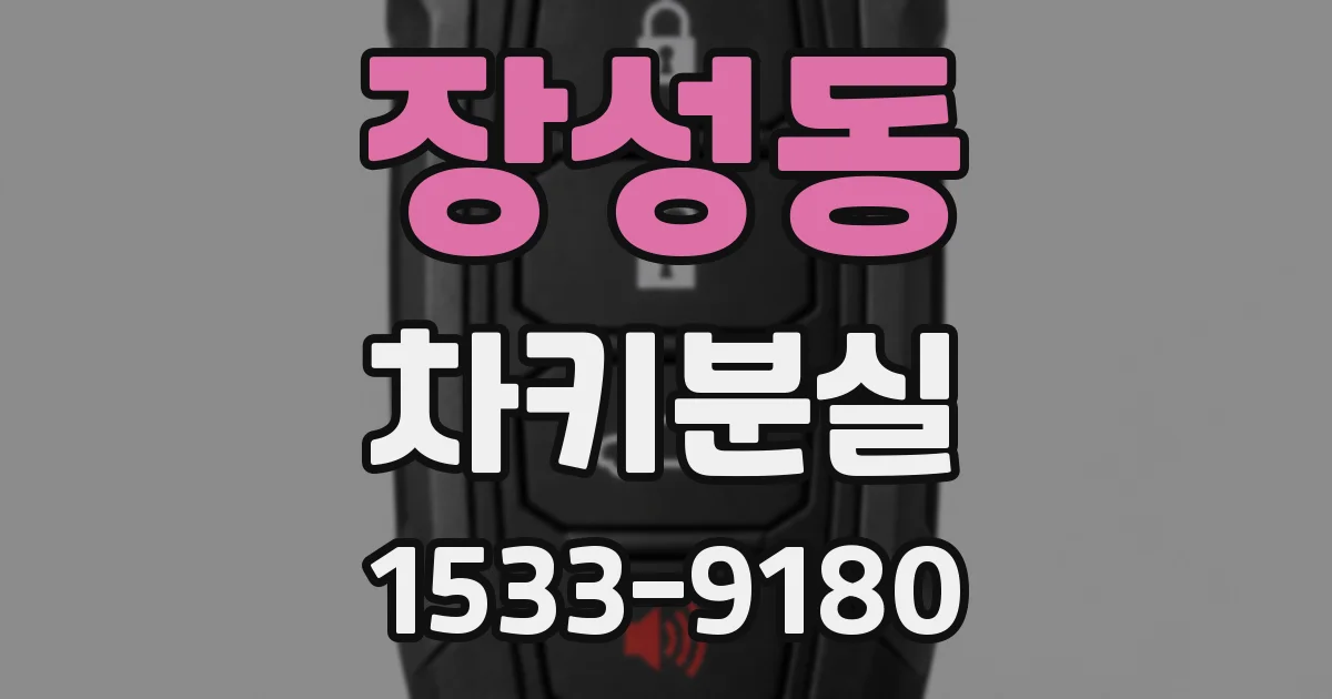장성동 차키분실