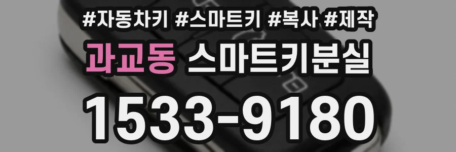 과교동 스마트키분실