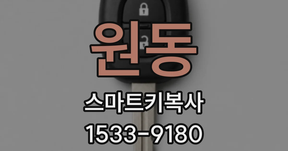 원동 스마트키복사