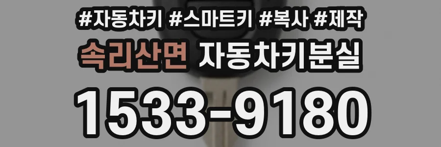 속리산면 자동차키분실