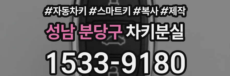 성남 분당구 차키분실