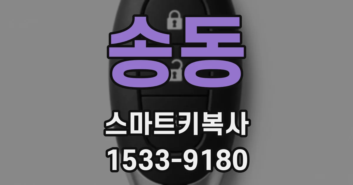 송동 스마트키복사