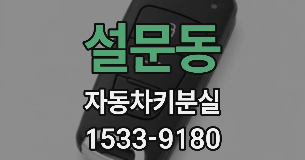 설문동 자동차키분실
