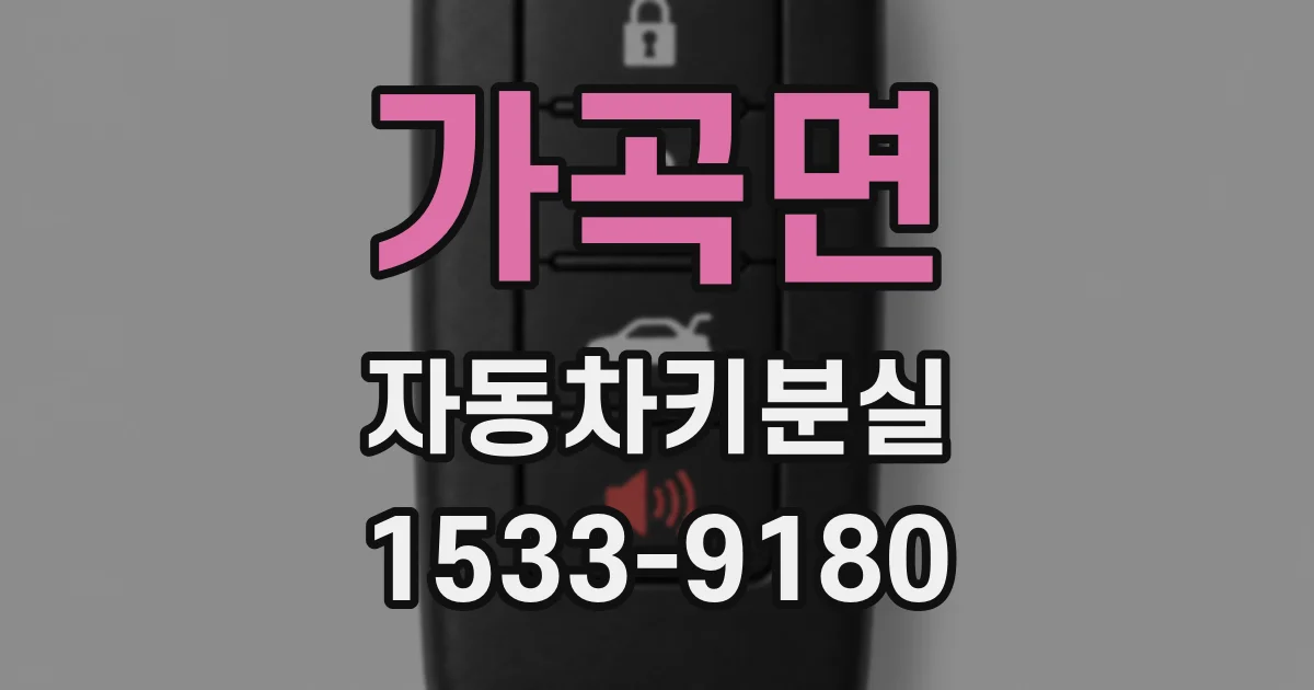 가곡면 자동차키분실