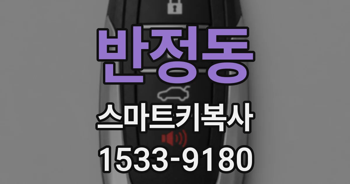 반정동 스마트키복사