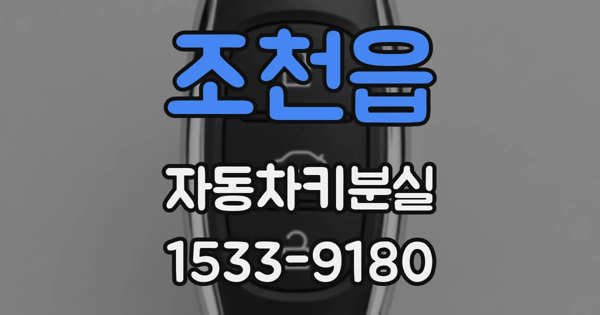 조천읍 자동차키분실