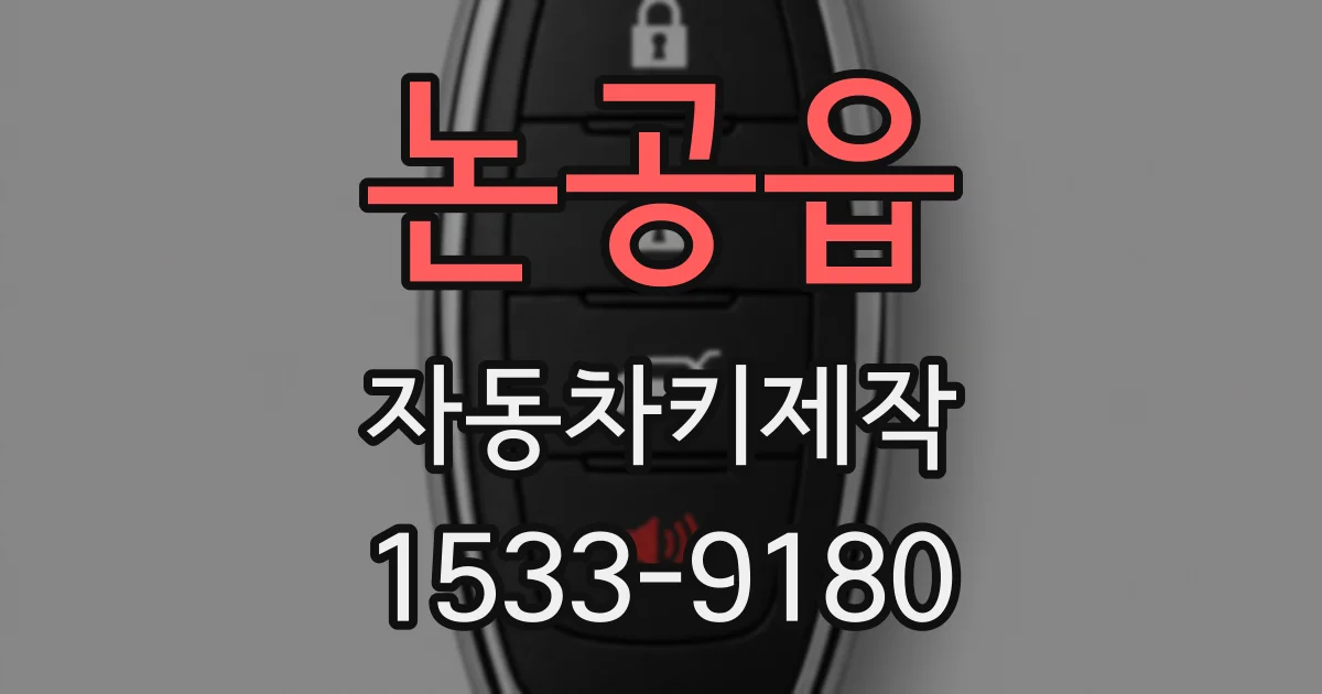 논공읍 자동차키제작