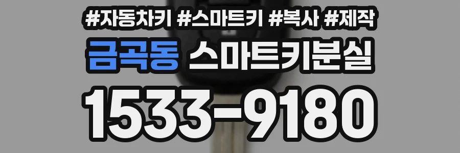 금곡동 스마트키분실