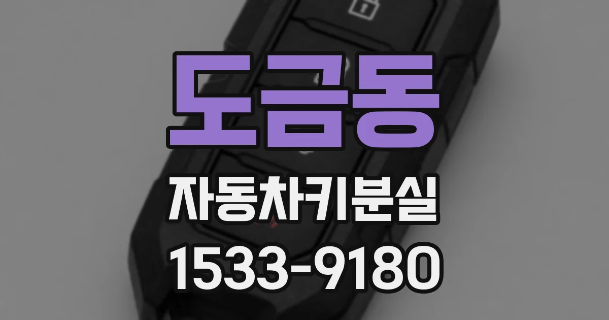 도금동 자동차키분실