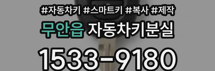 무안읍 자동차키분실