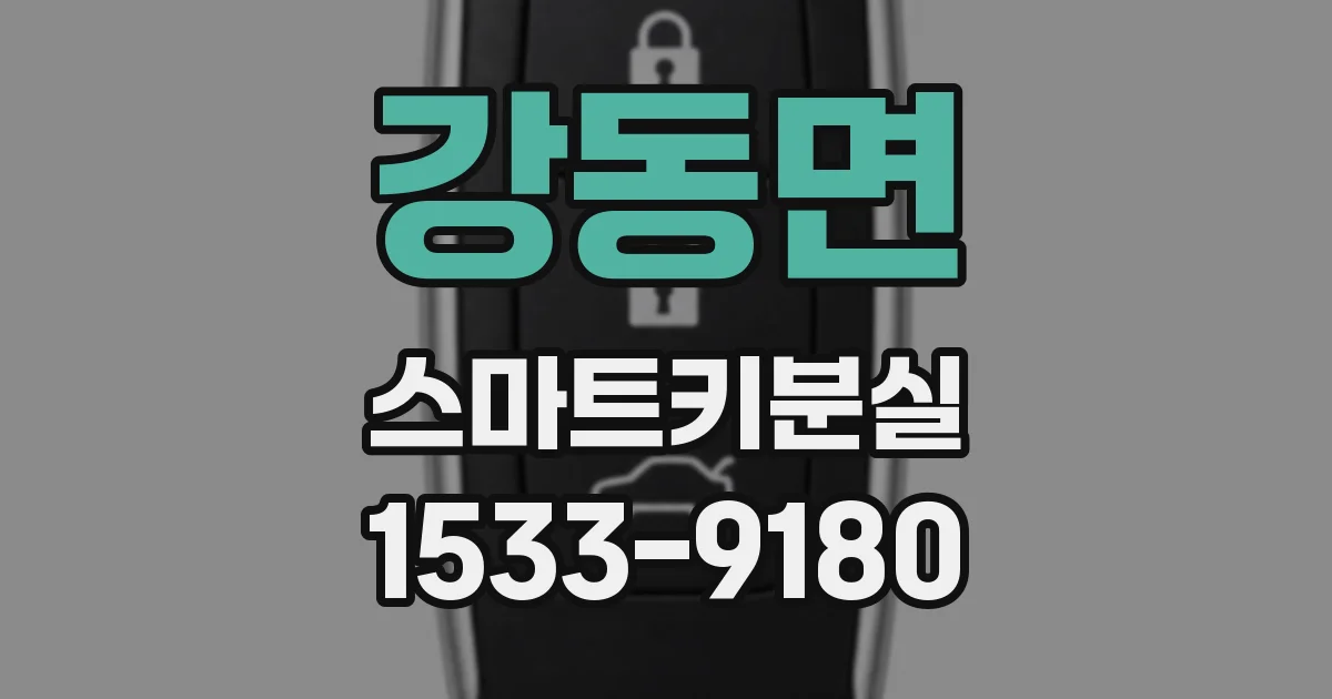 강동면 스마트키분실