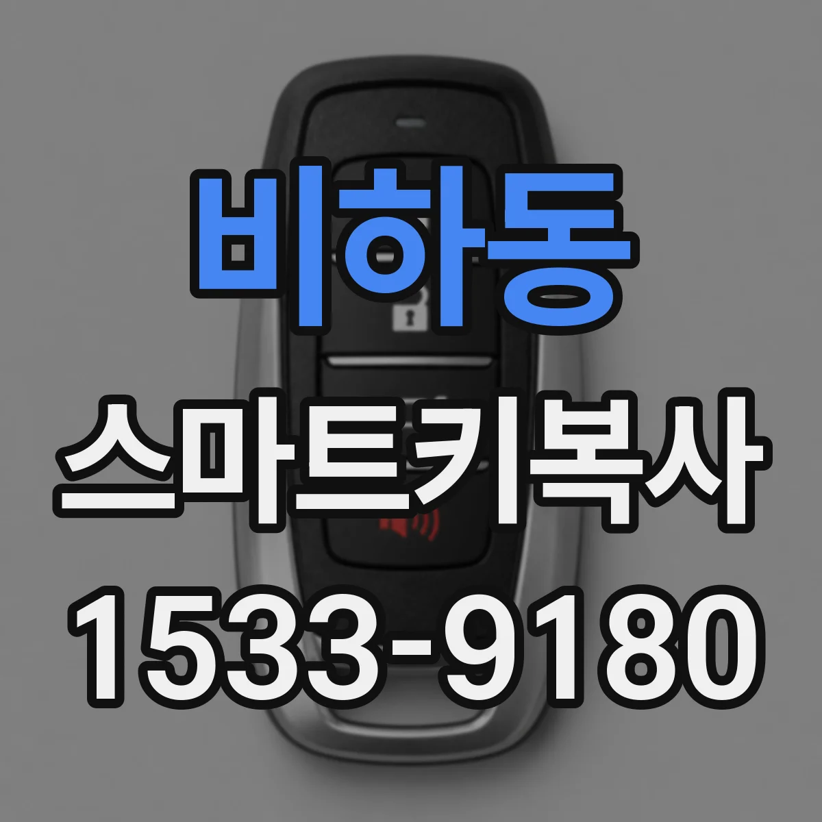 비하동 스마트키복사