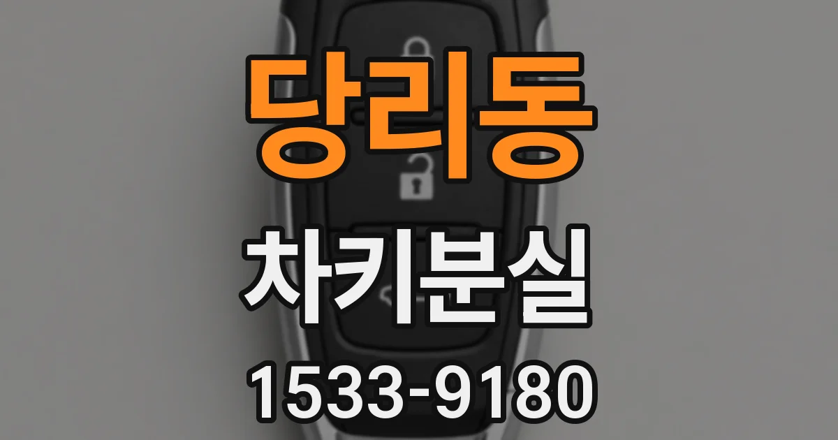 당리동 차키분실