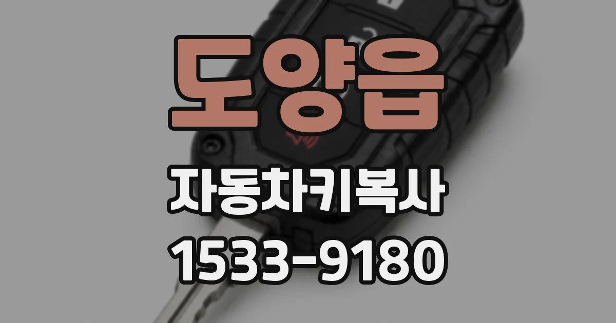 도양읍 자동차키복사