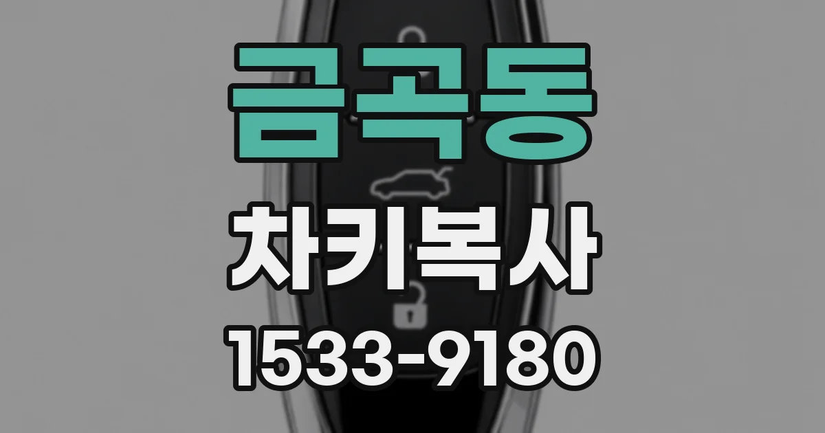 금곡동 차키복사
