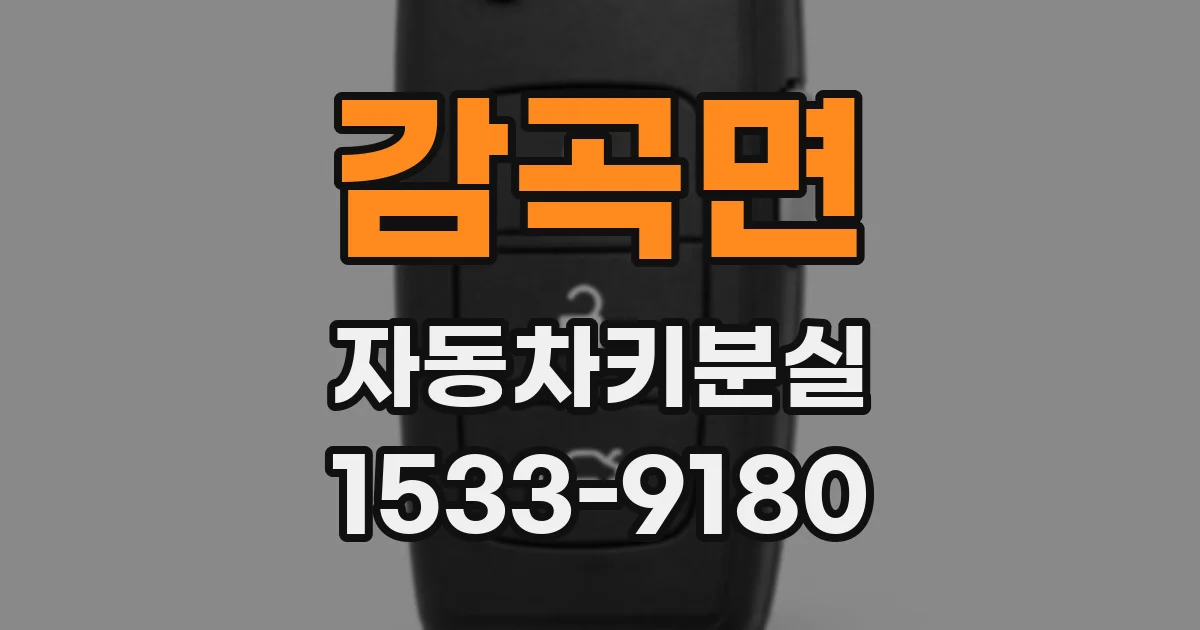 감곡면 자동차키분실