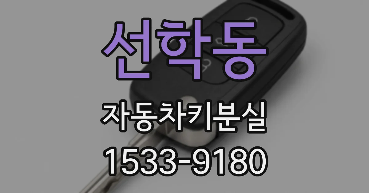 선학동 자동차키분실