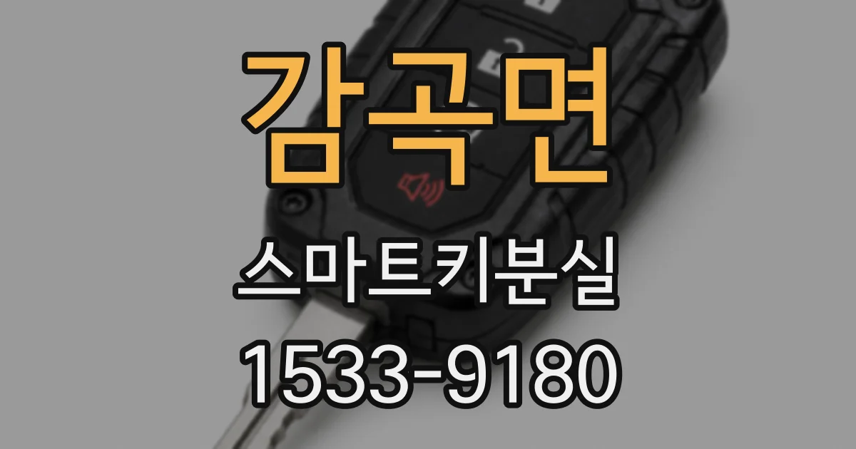 감곡면 스마트키분실