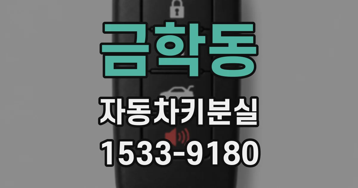 금학동 자동차키분실