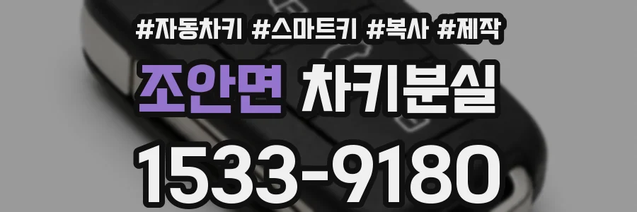 조안면 차키분실