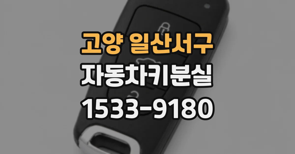 고양 일산서구 자동차키분실