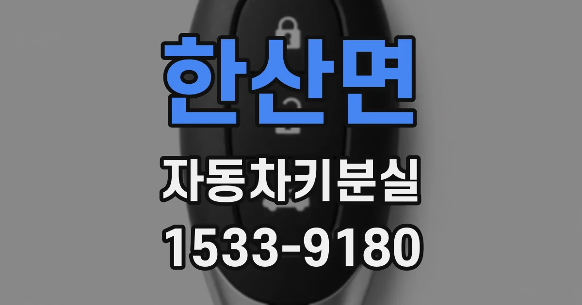 한산면 자동차키분실