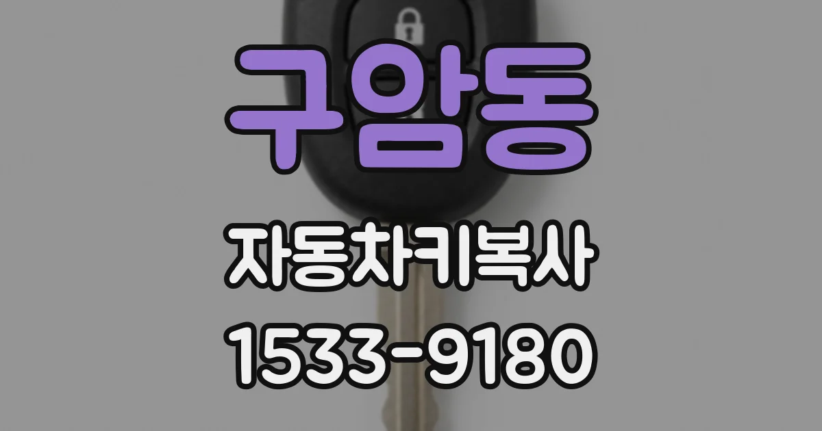 구암동 자동차키복사