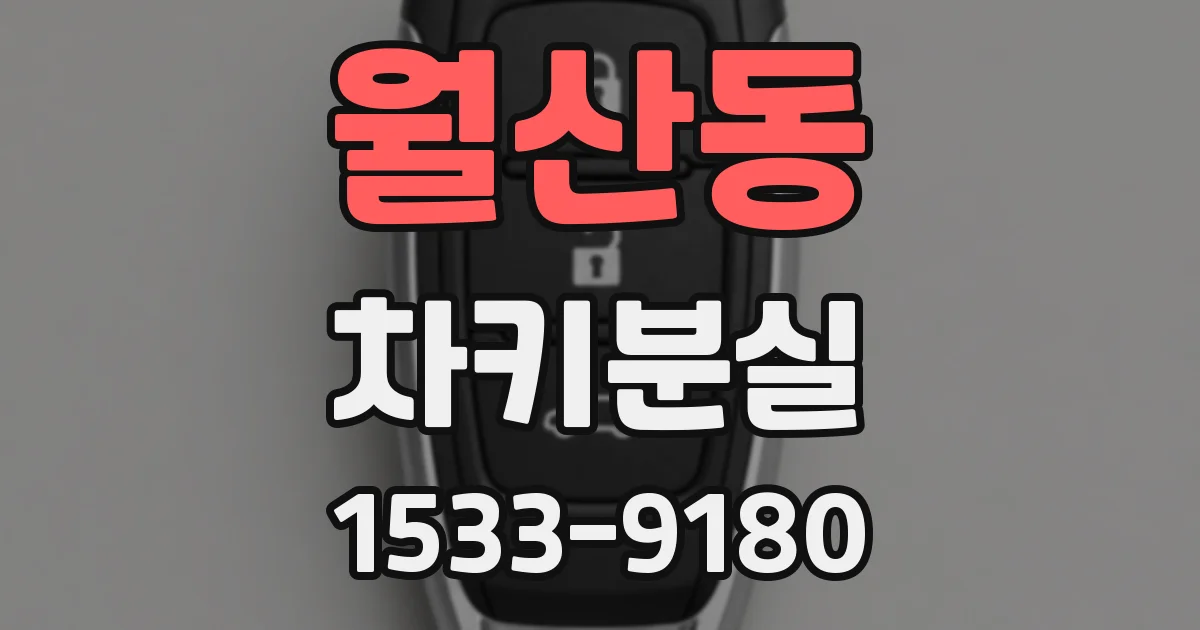 월산동 차키분실
