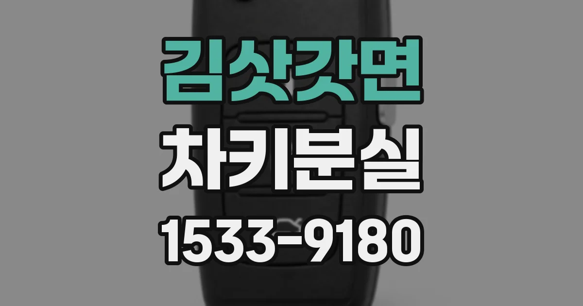 김삿갓면 차키분실