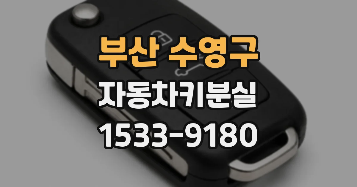 부산 수영구 자동차키분실