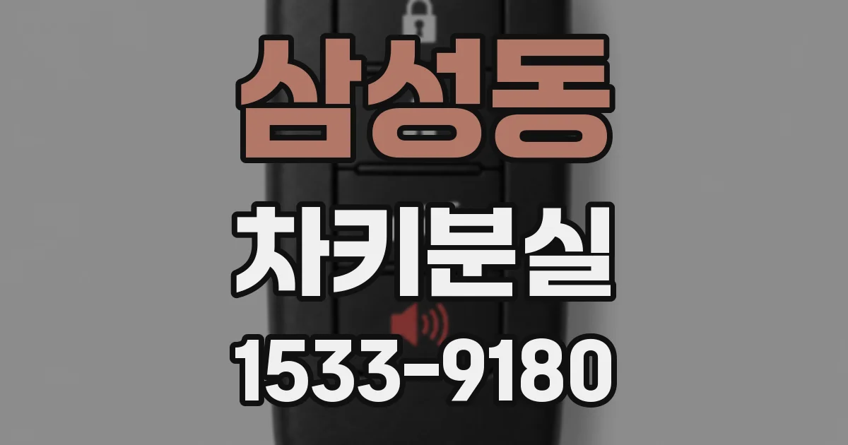 삼성동 차키분실