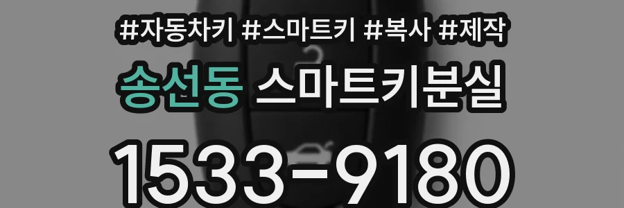 송선동 스마트키분실