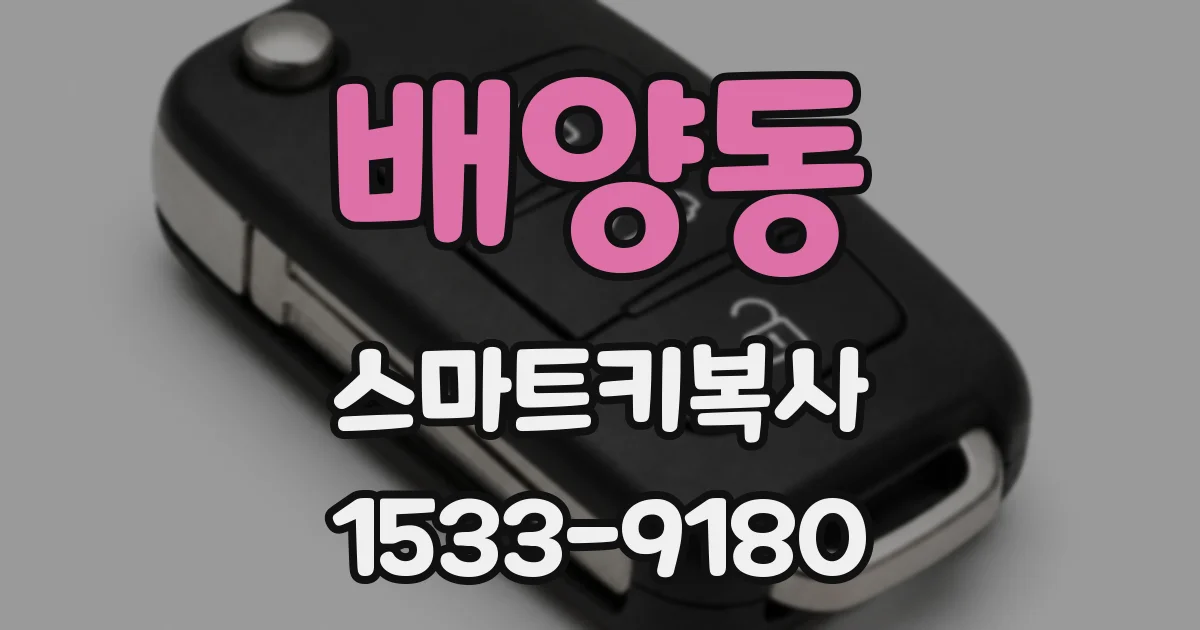 배양동 스마트키복사