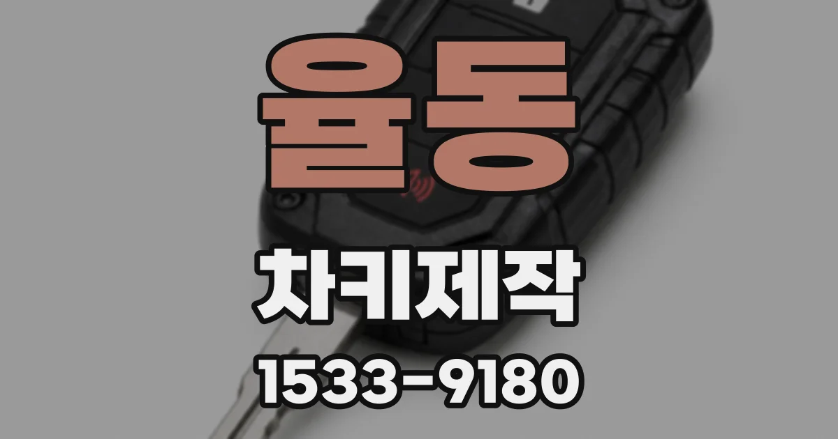 율동 차키제작