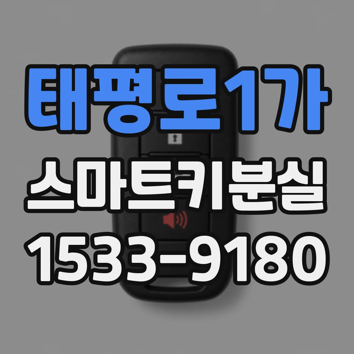 태평로1가 스마트키분실