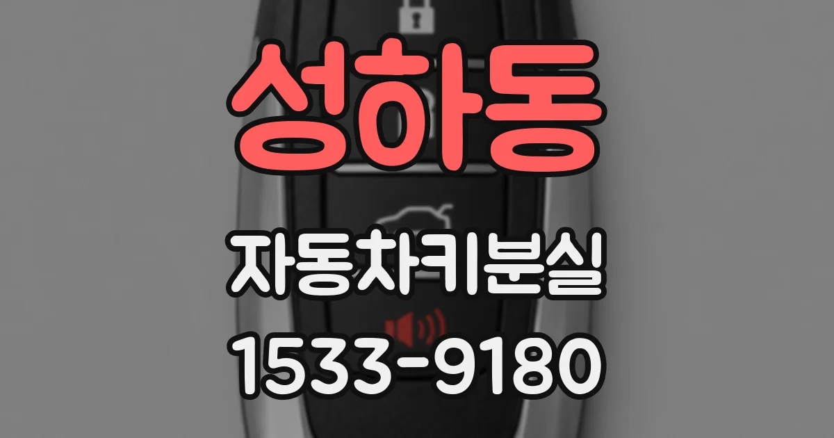 성하동 자동차키분실