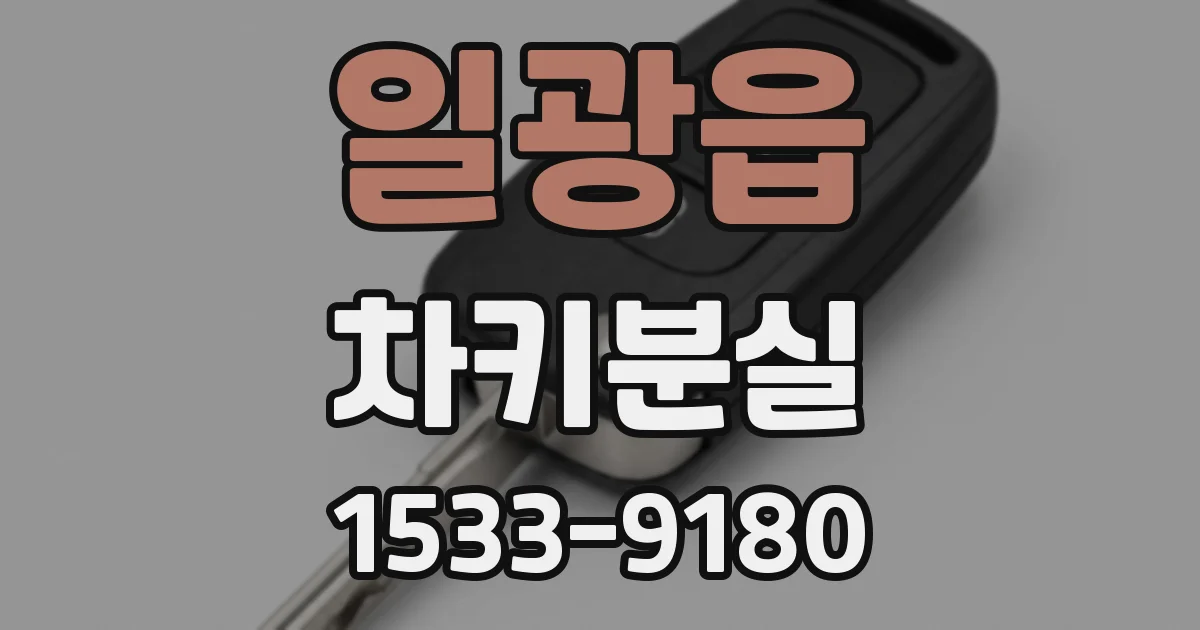 일광읍 차키분실