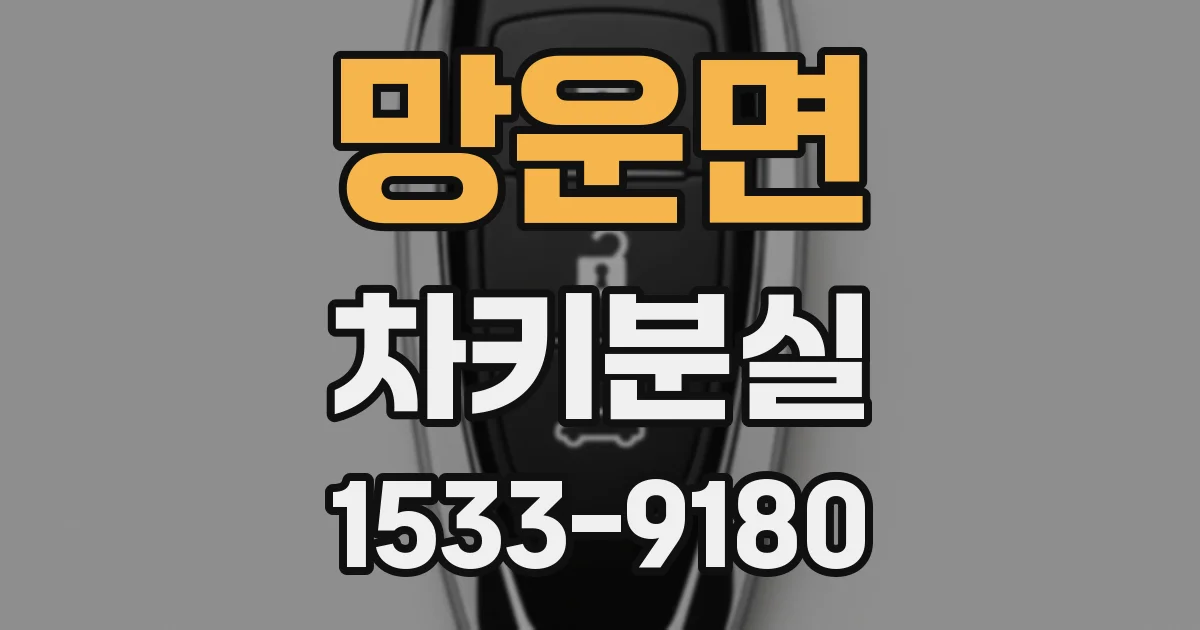망운면 차키분실