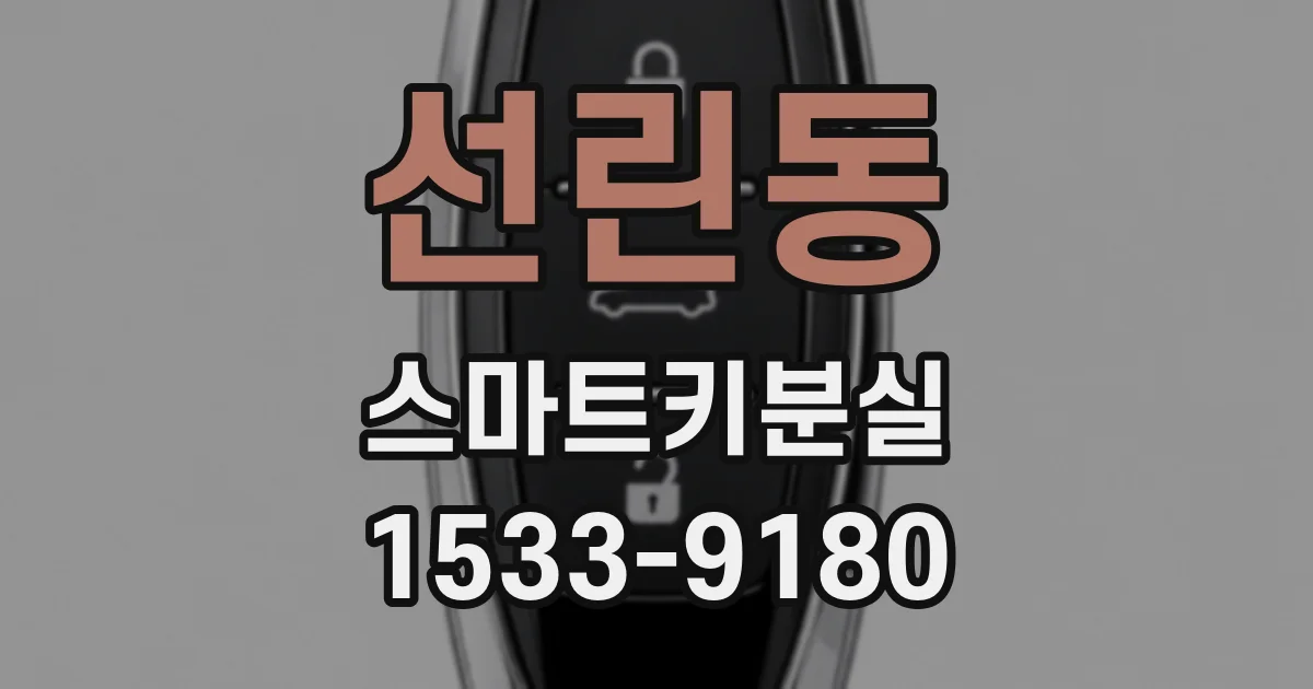 선린동 스마트키분실