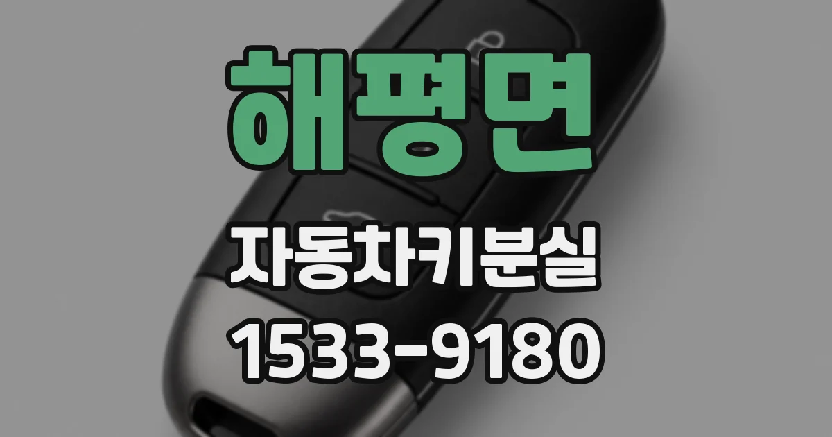 해평면 자동차키분실