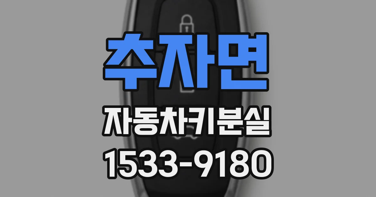 추자면 자동차키분실