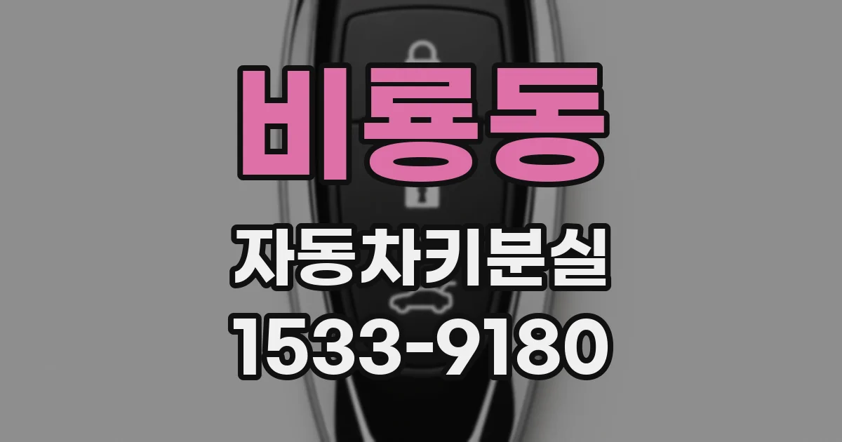 비룡동 자동차키분실
