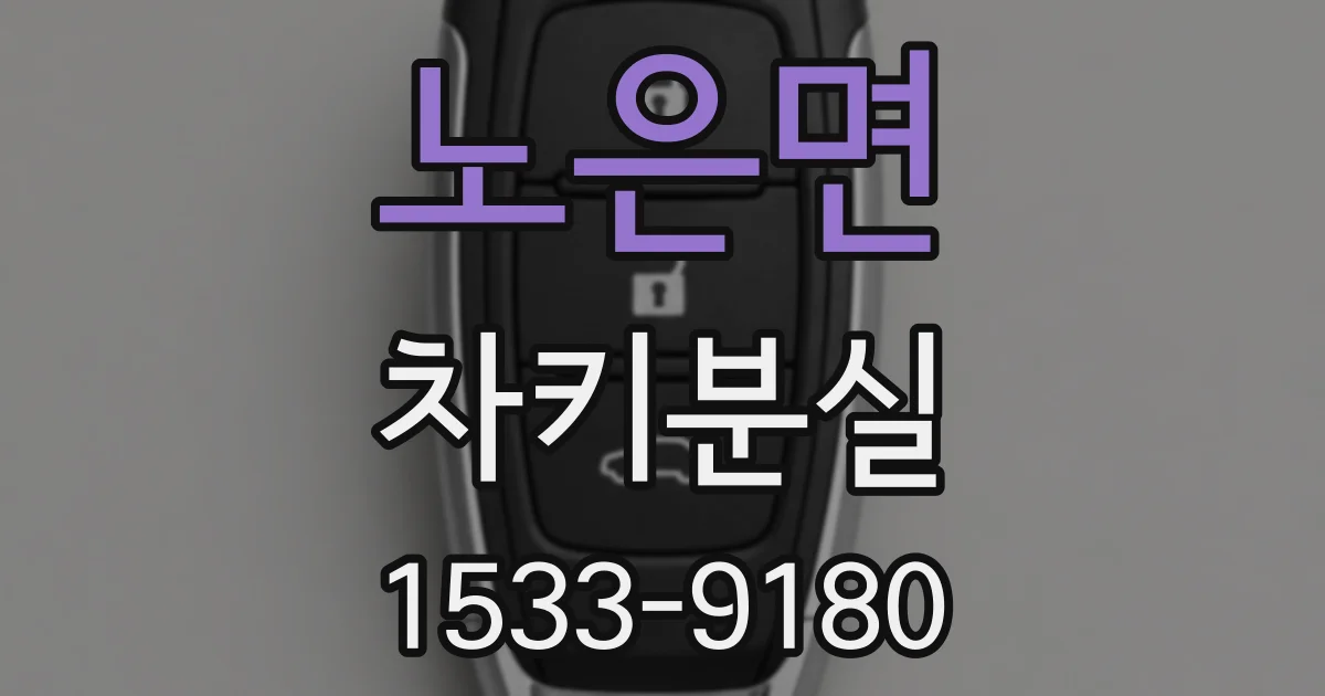 노은면 차키분실