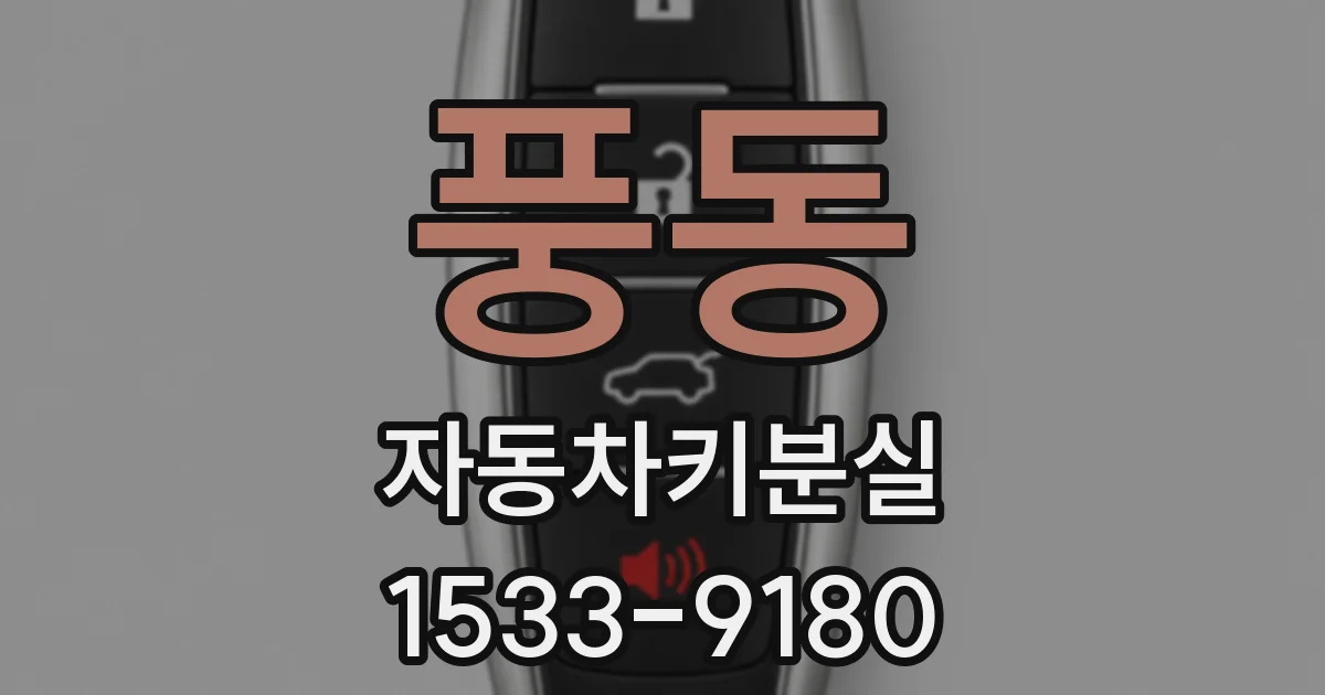 풍동 자동차키분실