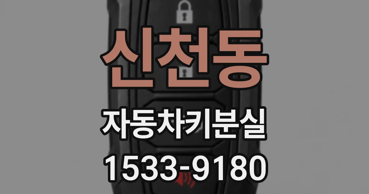 신천동 자동차키분실