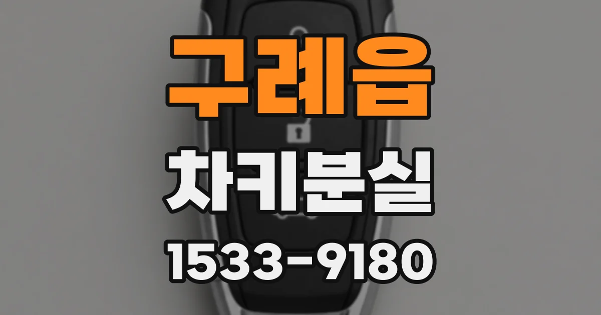 구례읍 차키분실