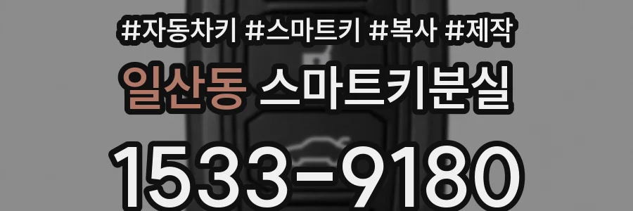 일산동 스마트키분실