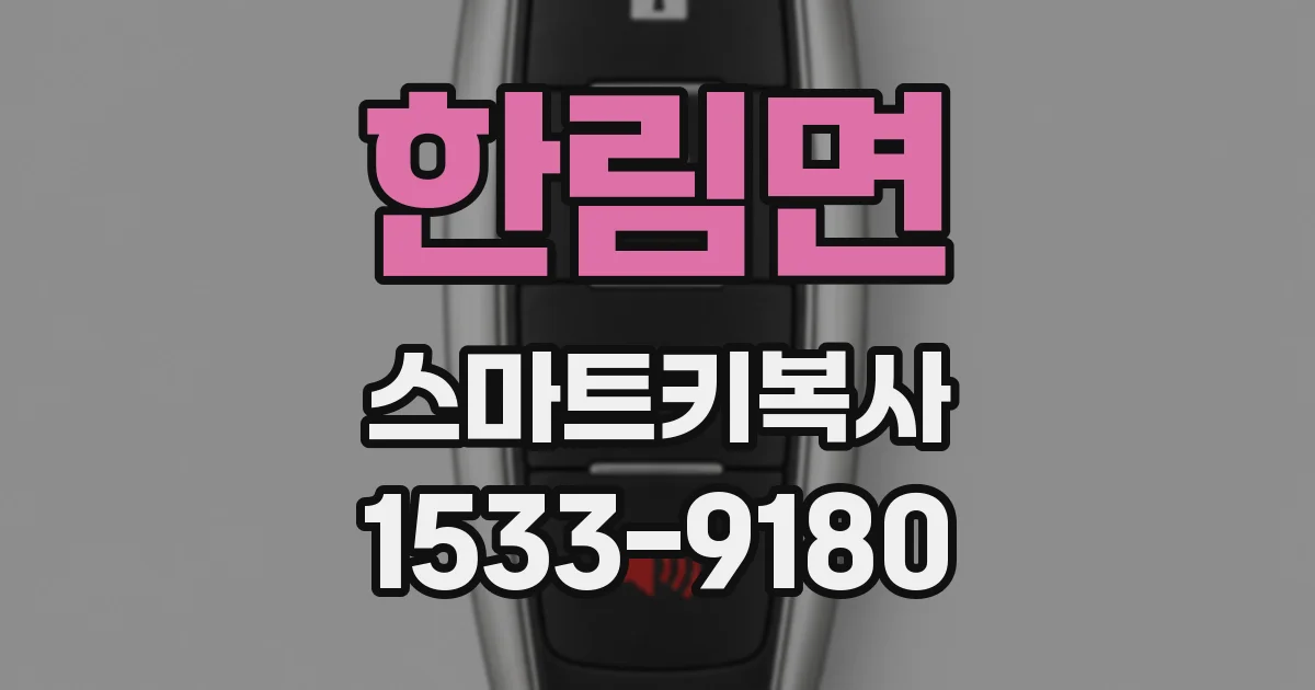 한림면 스마트키복사