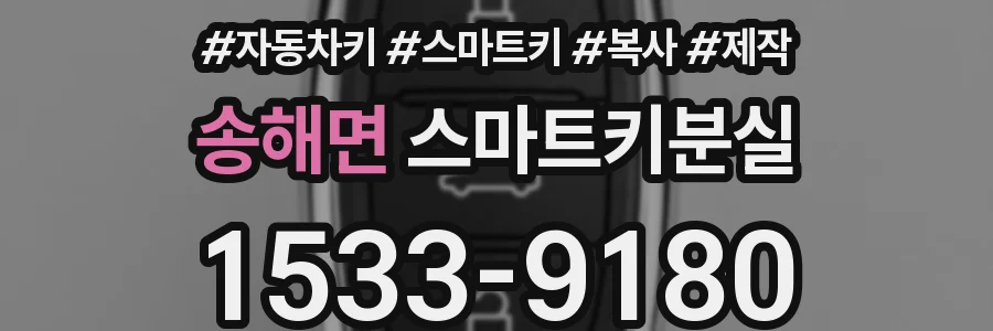 송해면 스마트키분실